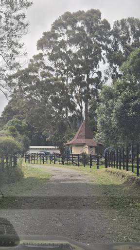 HARAS CERRO PUNTA